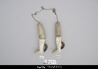 藏品(人形淨琉璃一組-右腳)的圖片